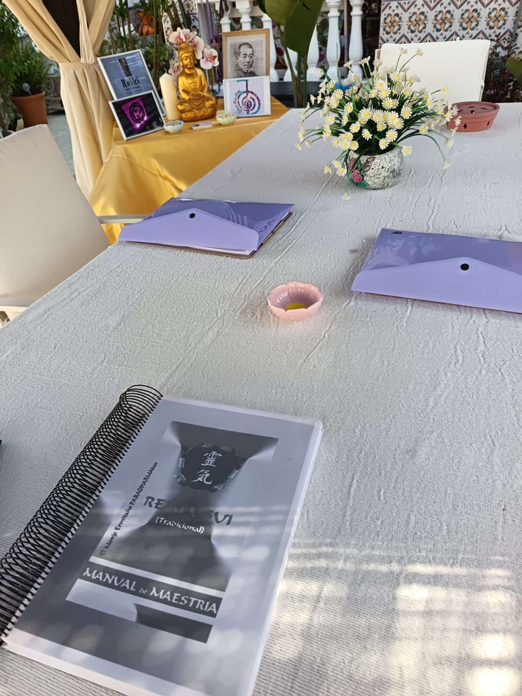 Manual de Maestría de Reiki y materiales de formación